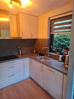A modern kitchen with white cabinets, a stainless steel sink, and a window with a view of greenery outside. - Vakantiehuis op vakantiepark `t Broeckhuys. (Ewijk)