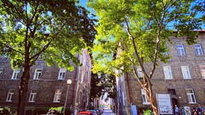 A street lined with trees and brick buildings, with parked cars and a clear sky. - Pet Studio I Central Station (Bratislava)