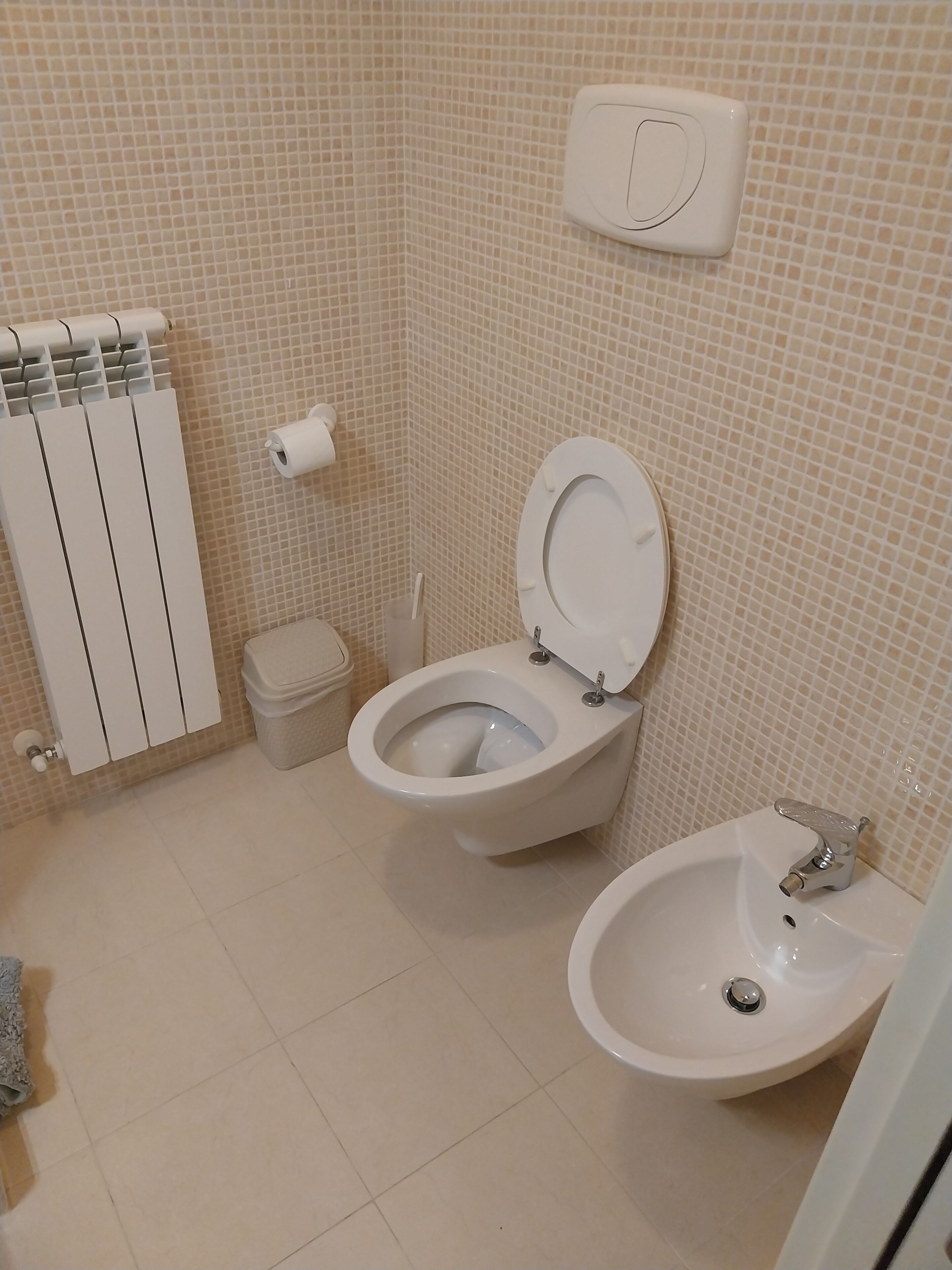 A bathroom with a toilet, bidet, and sink.