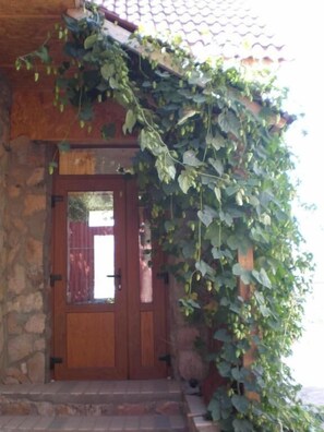 A wooden door with a glass panel, surrounded by climbing ivy.