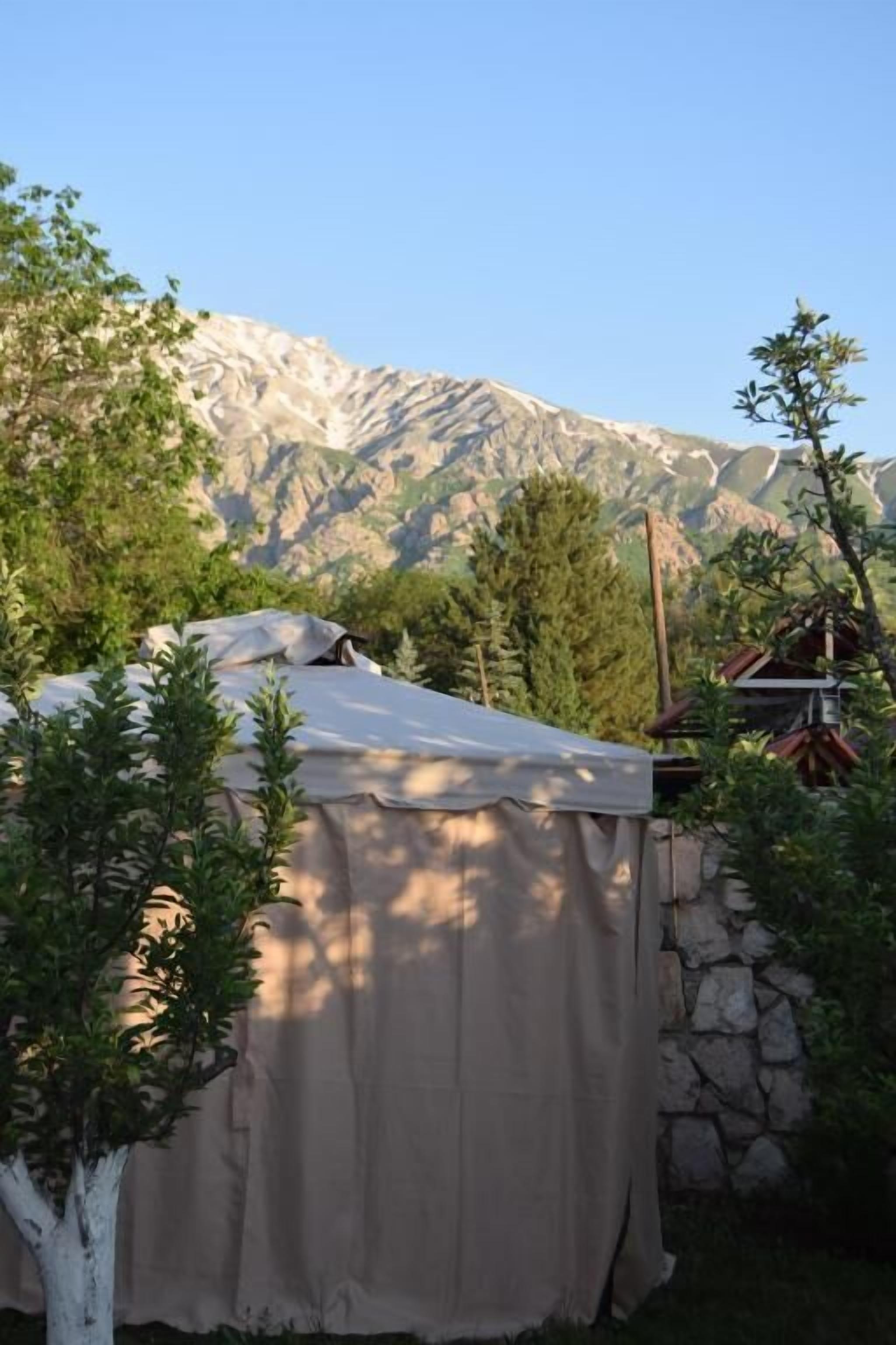 A tented area with a stone wall, surrounded by trees and a mountain backdrop.