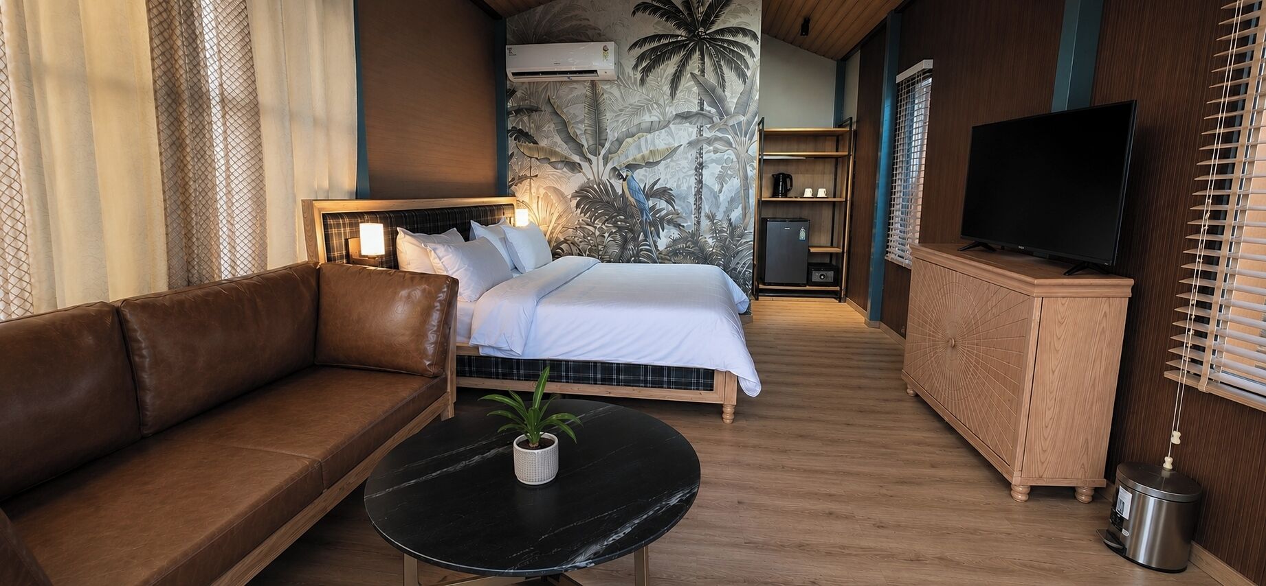Habitación de hotel con cama, sofá, una mesita con una planta, televisor y armario.