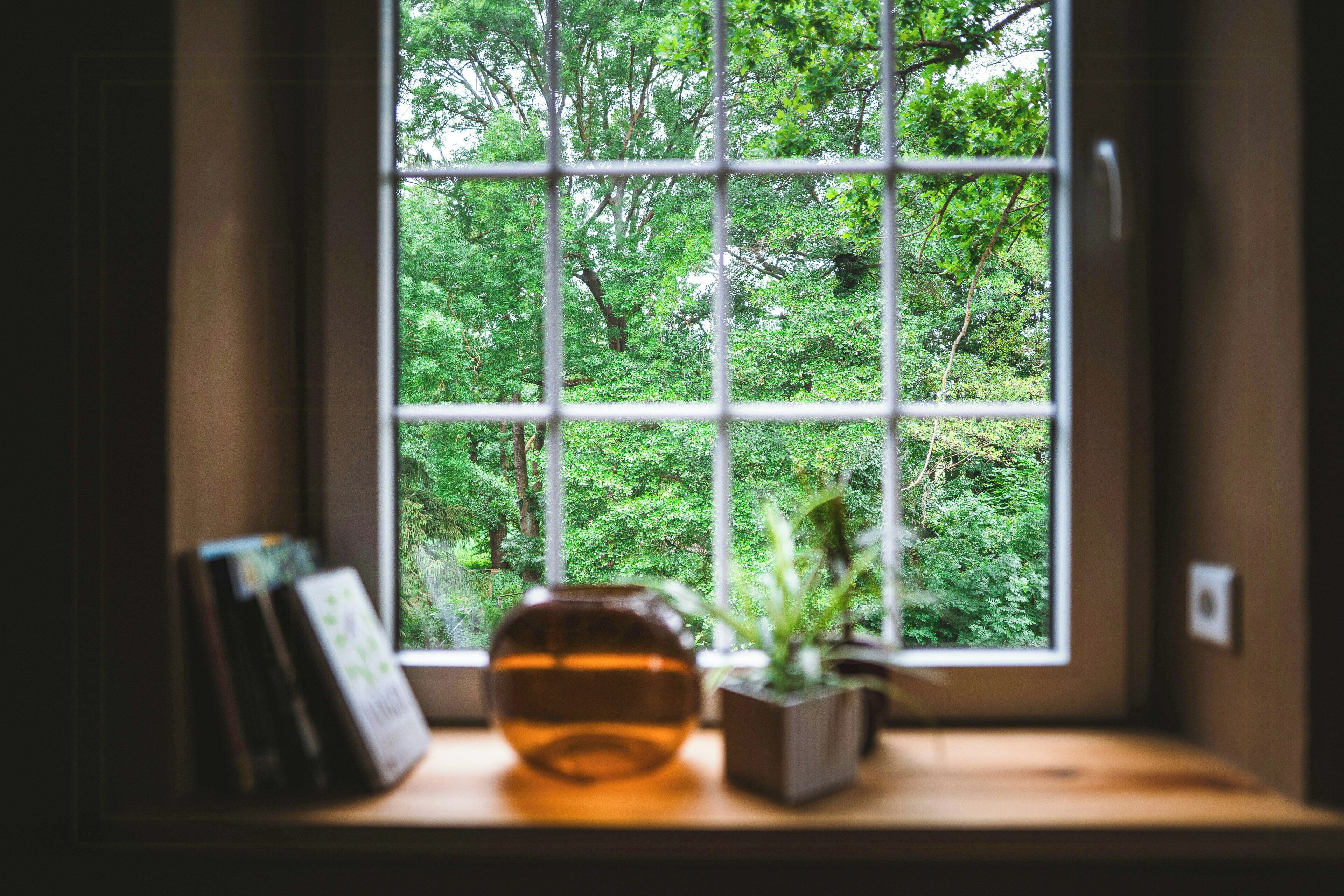 Ein Fenster mit Blick auf einen Wald, durch ein Gittermuster sichtbar.