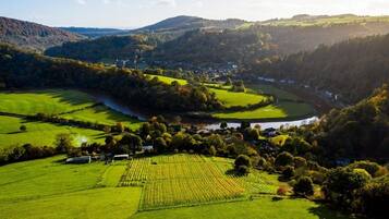 A rural landscape with fields, a river, and a small village.
