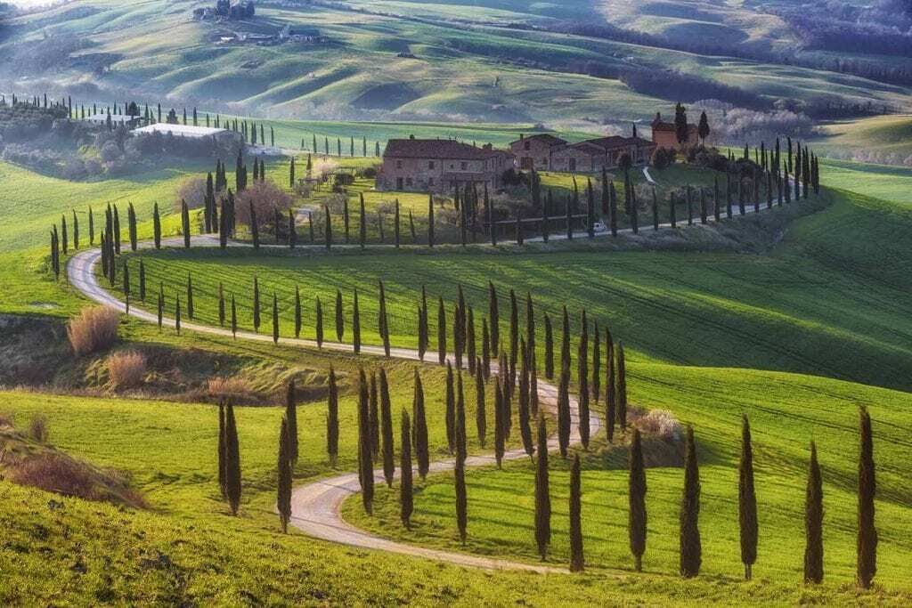 A rural landscape with rolling hills, a winding road, and a row of tall trees.