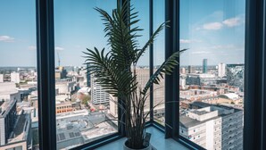 Uma planta em vaso sobre um parapeito de janela com vista para a cidade.