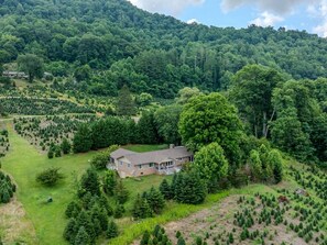 A house surrounded by a forested area with a clear sky. - Beautiful Home on a Mountainous Tree Farm (Newland)