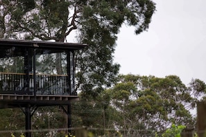 A glass-enclosed structure with a wooden deck, surrounded by dense foliage.