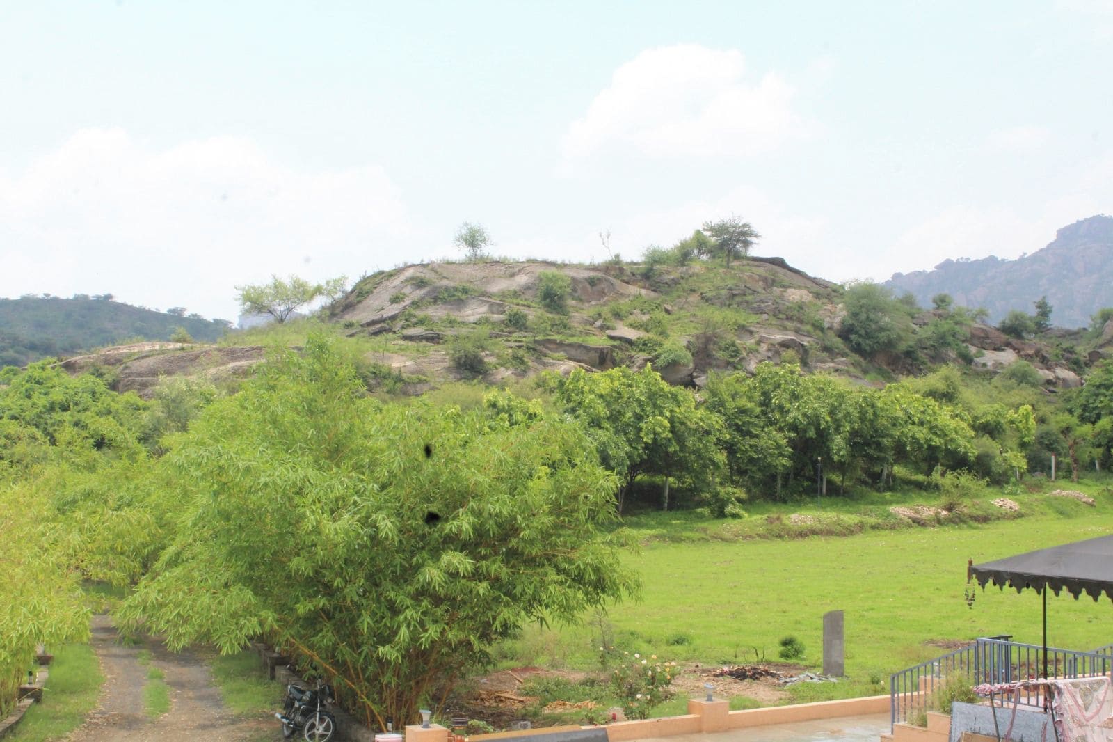 A hilly landscape with a path leading through a grassy area, surrounded by trees and vegetation.