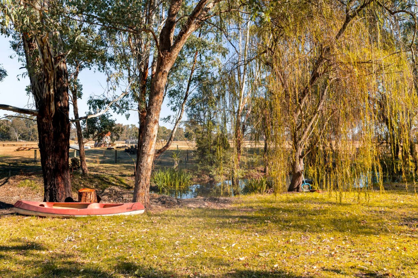 A park with a pond, trees, and a bench.