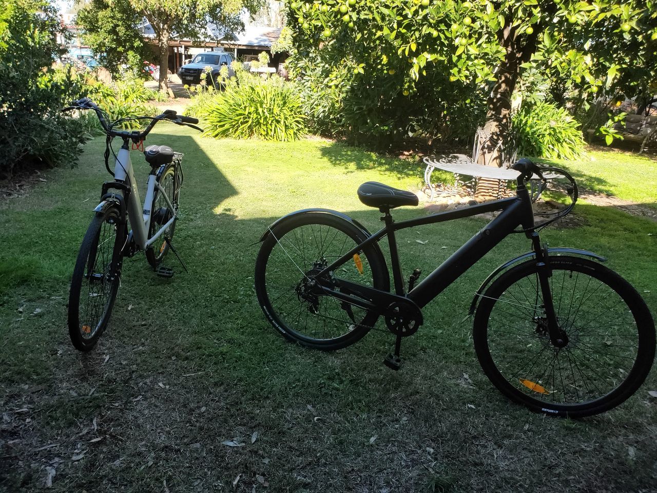 Two bicycles parked on a grassy area with trees and a building in the background.