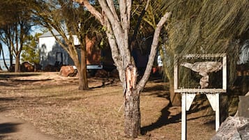 A tree with a sign in the foreground, a dirt path, and a building in the background.