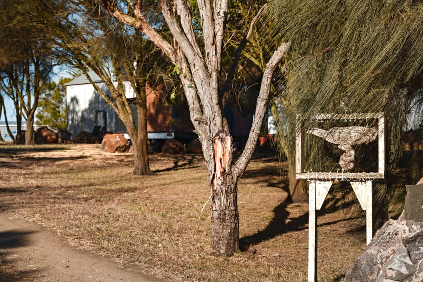 Un árbol con un letrero en primer plano, un sendero de tierra y un edificio al fondo.