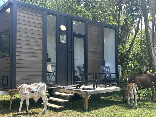 A modern cabin with a deck, a small table, and chairs.