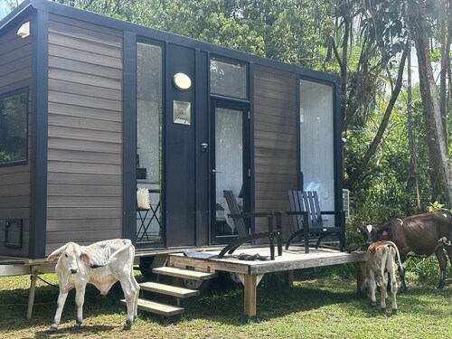 Cozy Secluded Tiny House with Nice Sights in Mission Beach, Queensland
