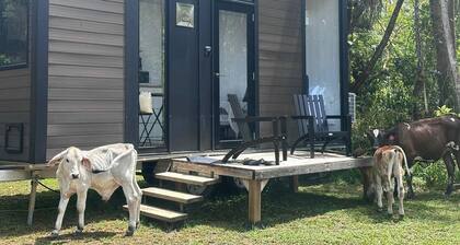 Cozy Secluded Tiny House with Nice Sights in Mission Beach, Queensland