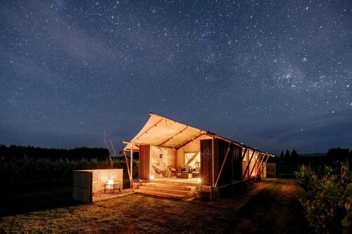Peaceful Safari Tent on Boutique Vineyard near Hastings, North Island