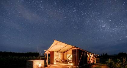 Peaceful Safari Tent on Boutique Vineyard near Hastings, North Island
