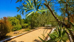 A garden with a gravel path, a bench, and various plants.