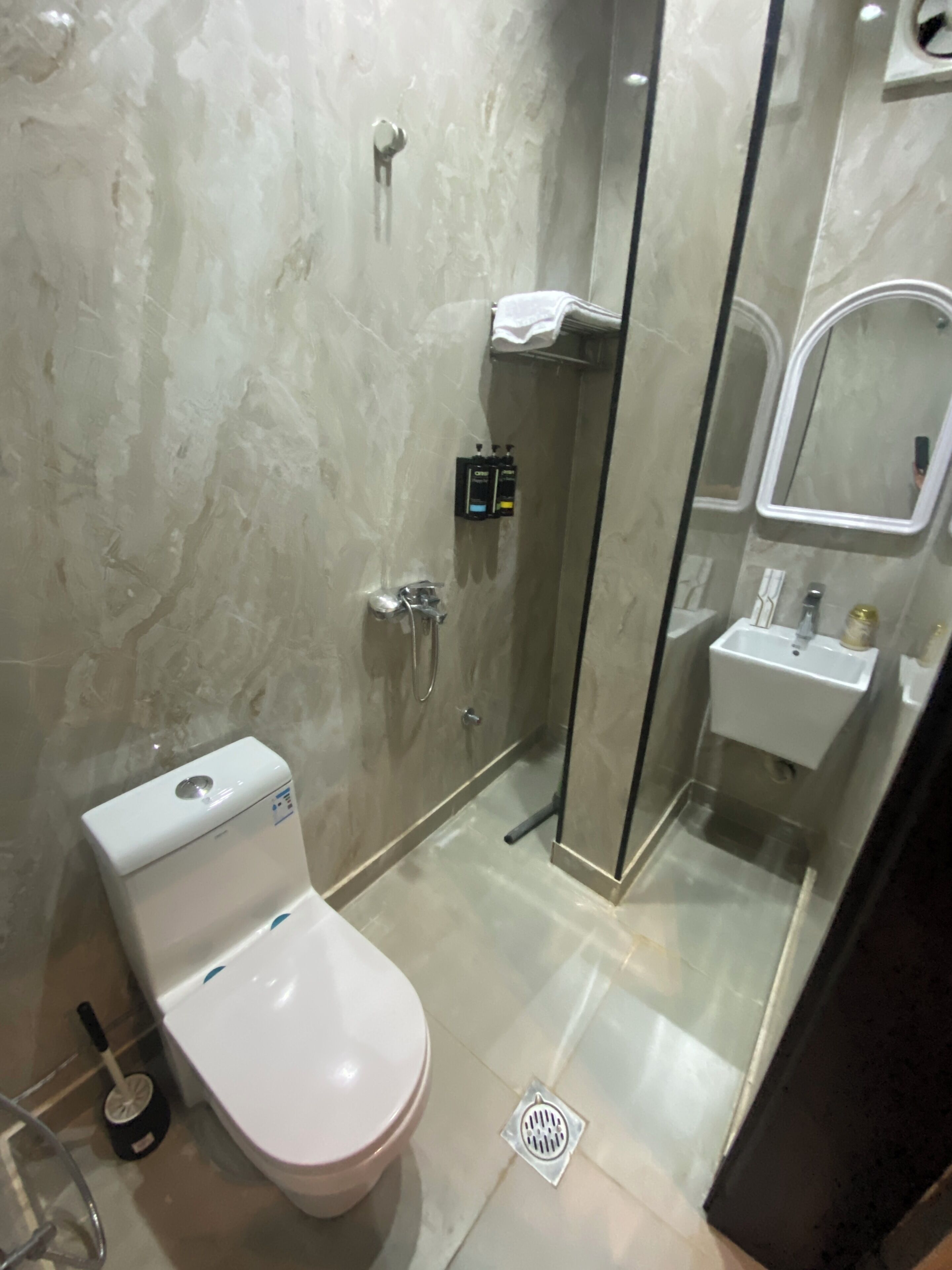 A modern bathroom with a toilet, a shower enclosure, and a sink.