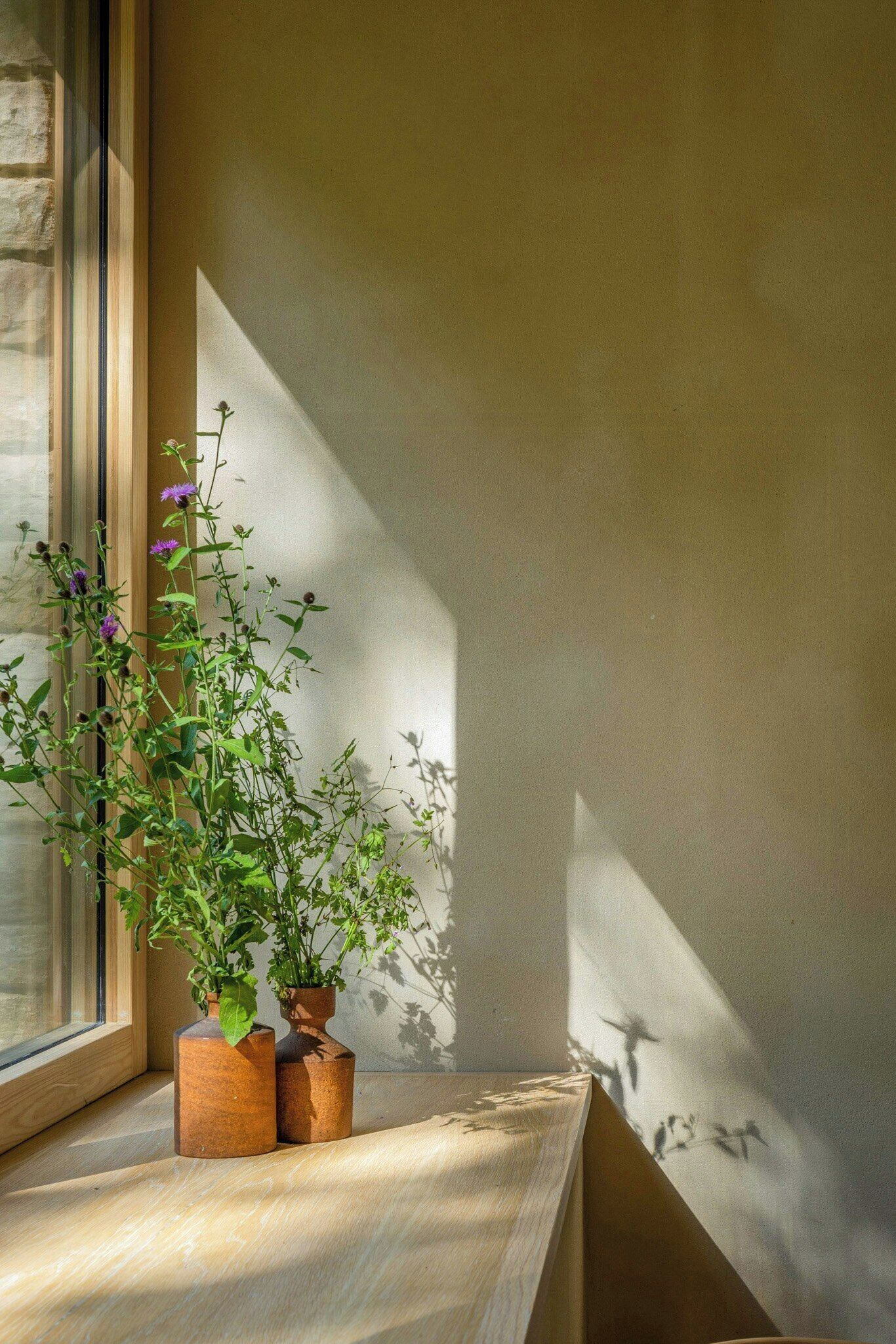 A window sill with two potted plants and a wooden bench.