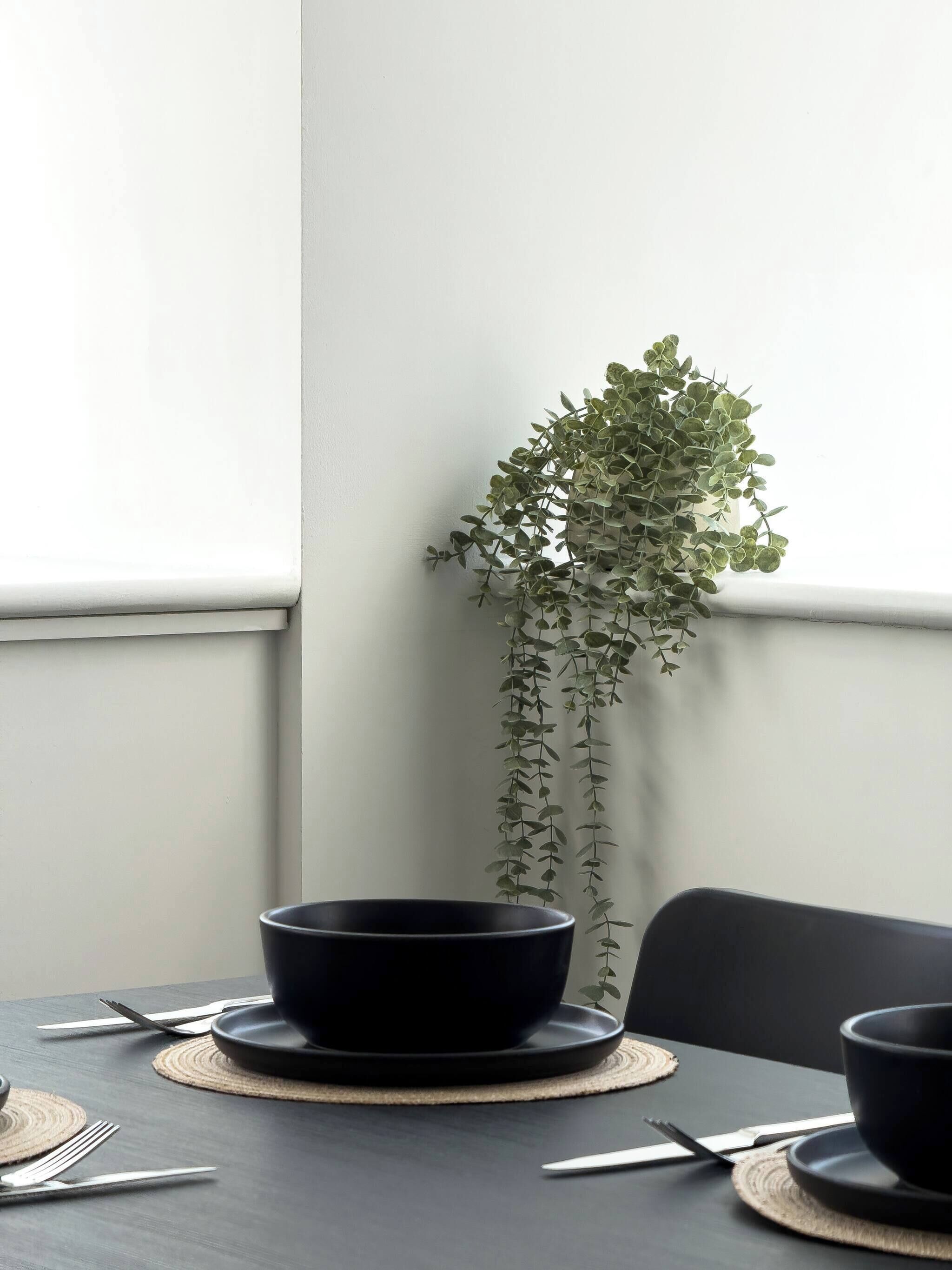 A dining table with a black bowl, a potted plant, and a chair.