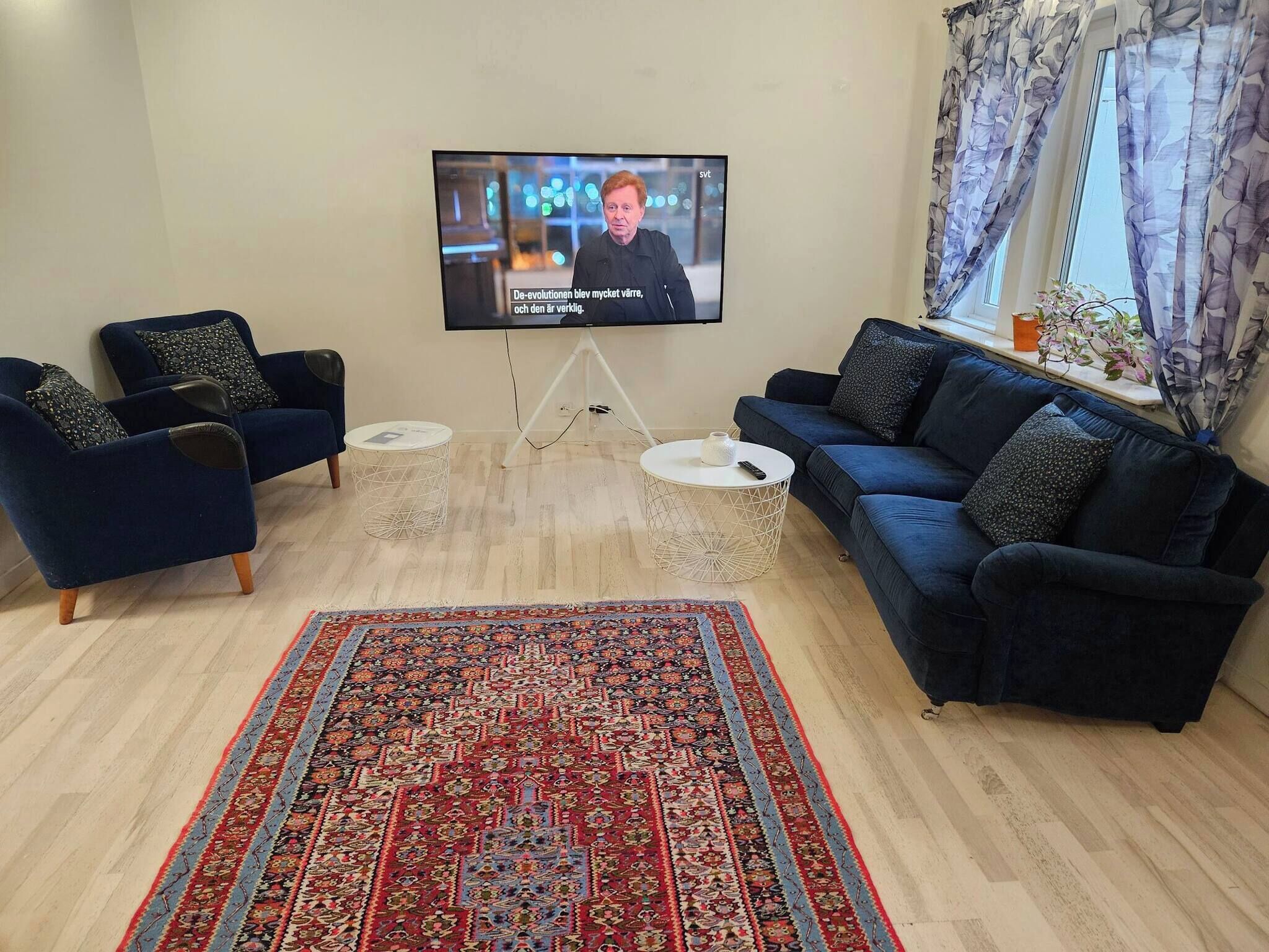 A modern living room with a large flat-screen TV, two sofas, a patterned rug, and a small side table.