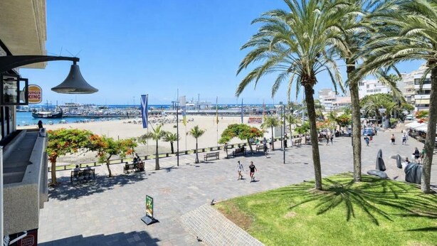 Un paseo marítimo frente a la playa con palmeras, bancos y vista al mar.