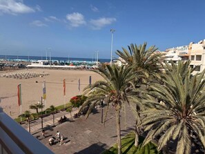 Vistes a la platja amb cel blau, palmeres i una zona de sorra amb senyeres.