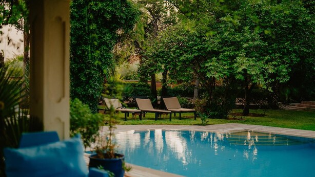 Ein Schwimmbecken mit Liegestühlen und Grün im Hintergrund.