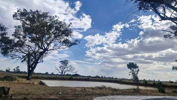 A natural landscape with a body of water, trees, and a clear sky.