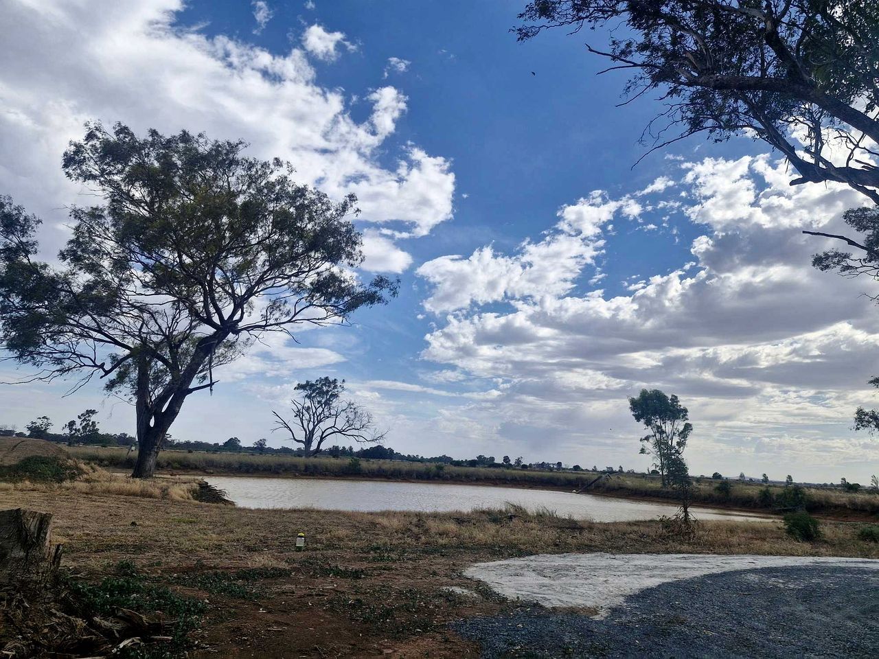 A natural landscape with a body of water, trees, and a clear sky.