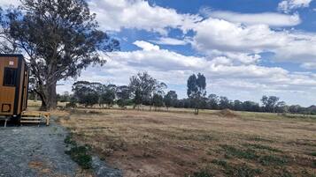 A rural landscape with a tree, a small wooden structure, and a dry field.