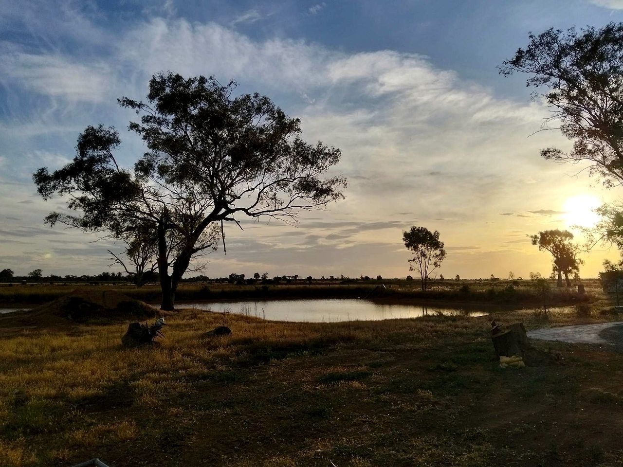 A natural landscape with trees, a body of water, and a clear sky.