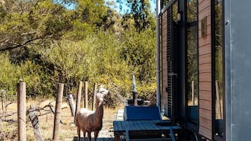 Ein Lama steht in der Nähe einer Holzterrasse mit einer Metallkonstruktion, umgeben von Bäumen und einem Zaun.