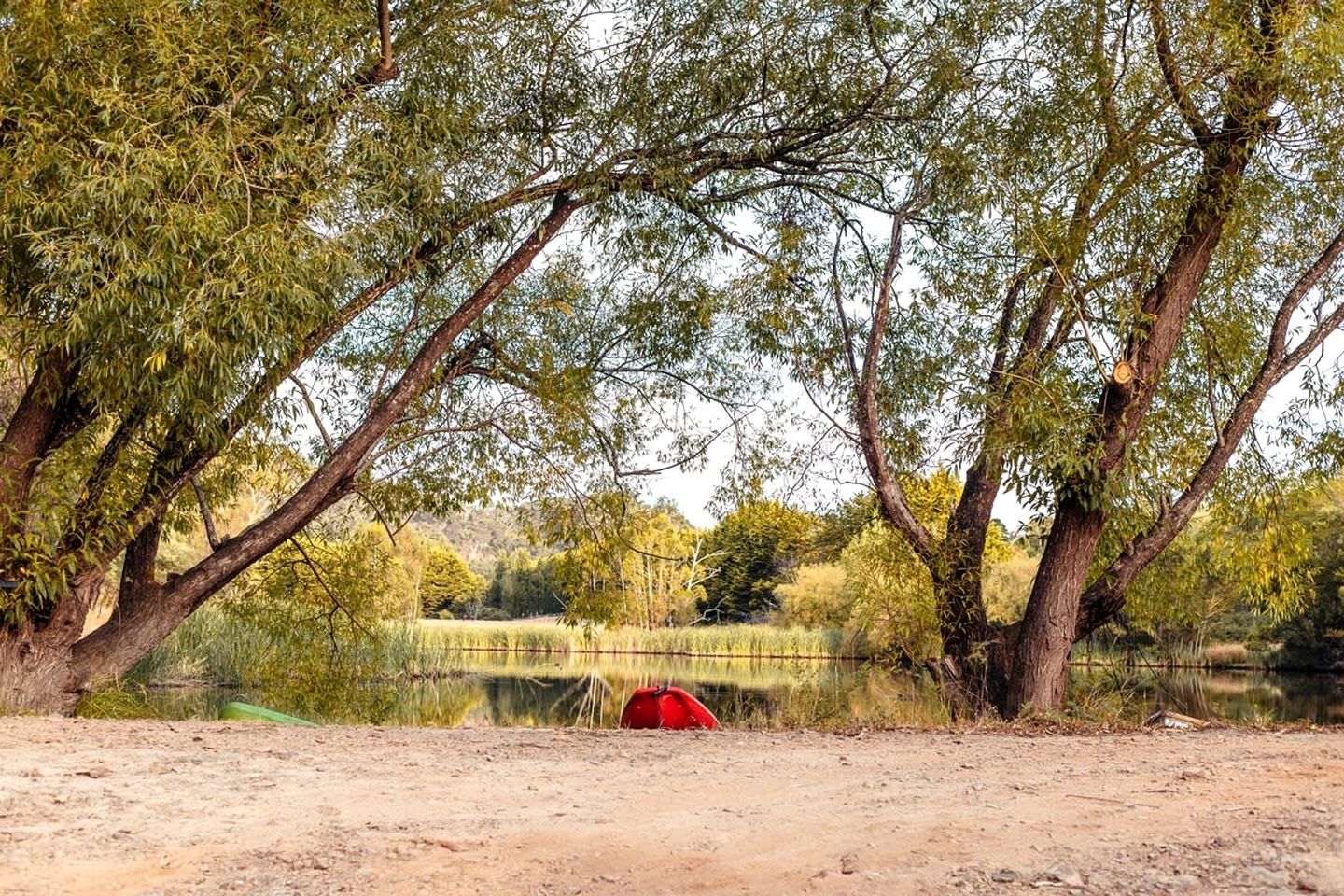 A natural landscape with a body of water, trees, and a red object on the ground.