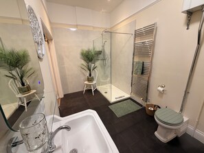 A modern bathroom with a glass shower enclosure, a white sink, and a toilet.