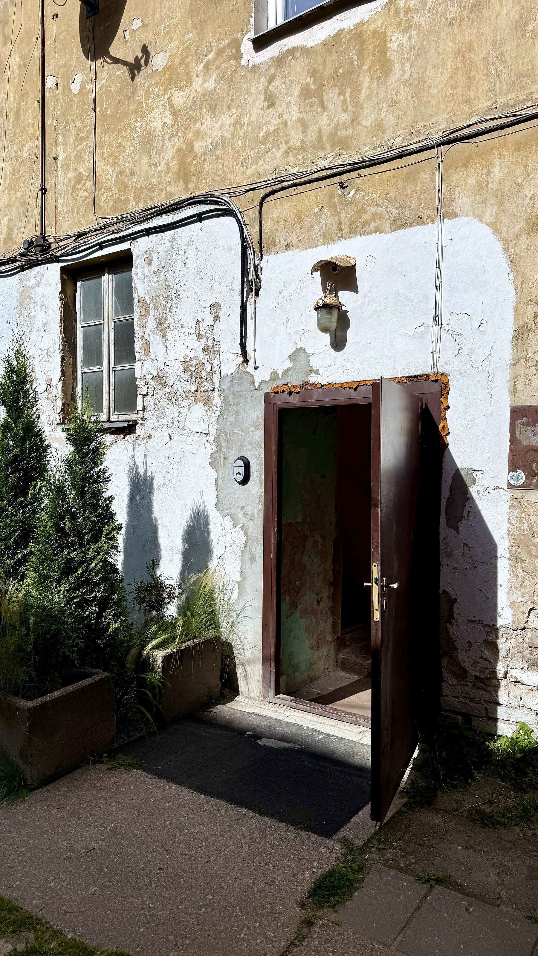 A weathered building exterior with a door, window, and some vegetation.