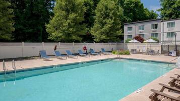 A swimming pool with lounge chairs and a lifebuoy, surrounded by a fence and trees.