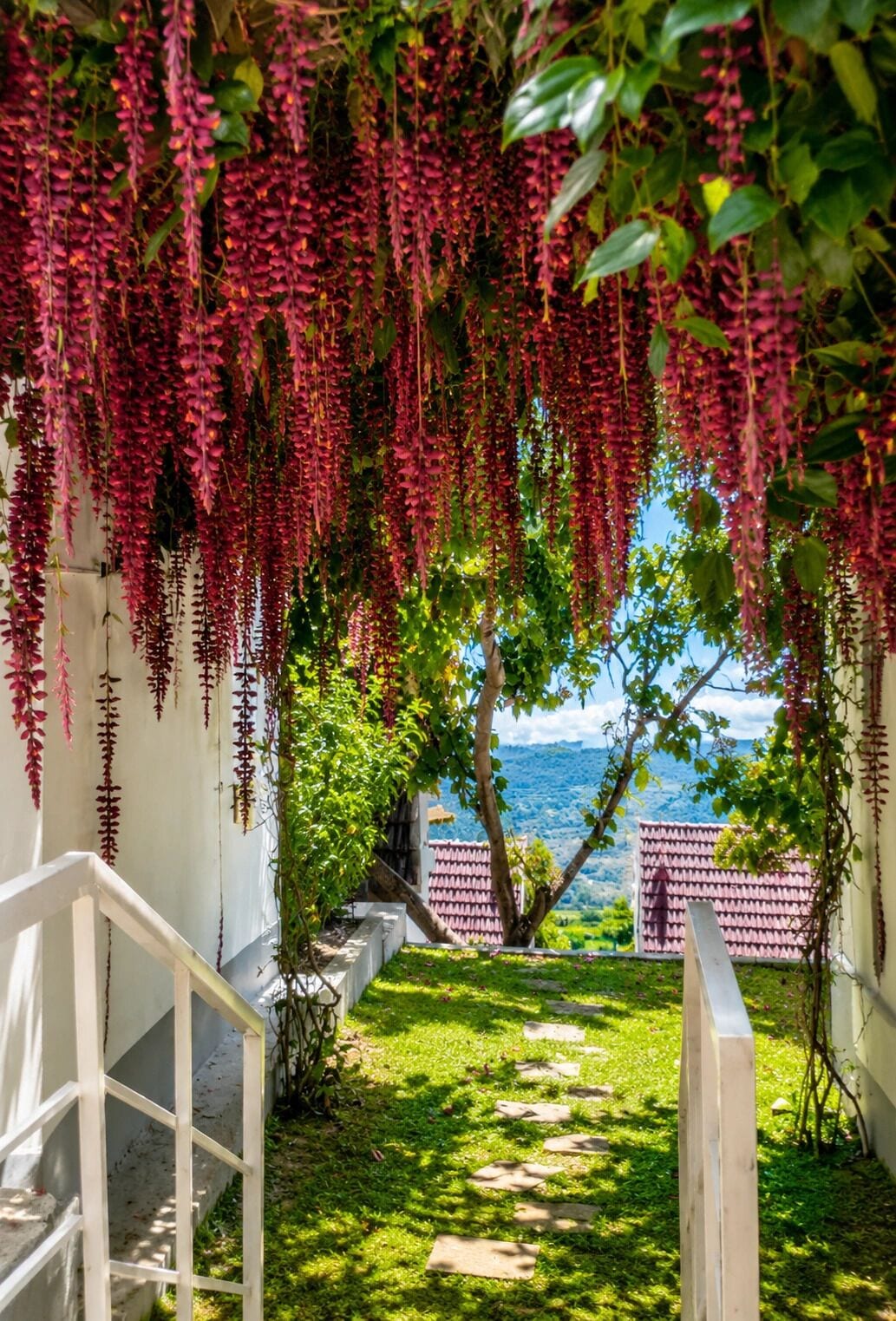 A pathway leading to a view of the sea, surrounded by greenery and a white railing.