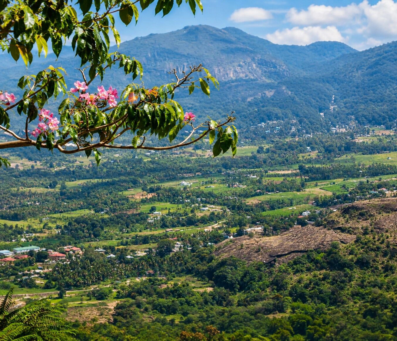 Un paisaje montañoso con un pueblo en el valle, vegetación exuberante y un árbol con flores rosadas en primer plano.