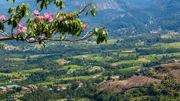 Un paisaje montañoso con un pueblo en el valle, vegetación exuberante y un árbol con flores rosadas en primer plano.