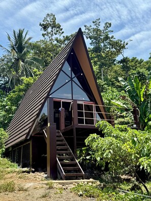 A triangular building with a wooden exterior and a glass facade, surrounded by lush greenery.