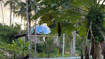 A stone wall with a dog, palm trees, and a building with a blue roof in the background.