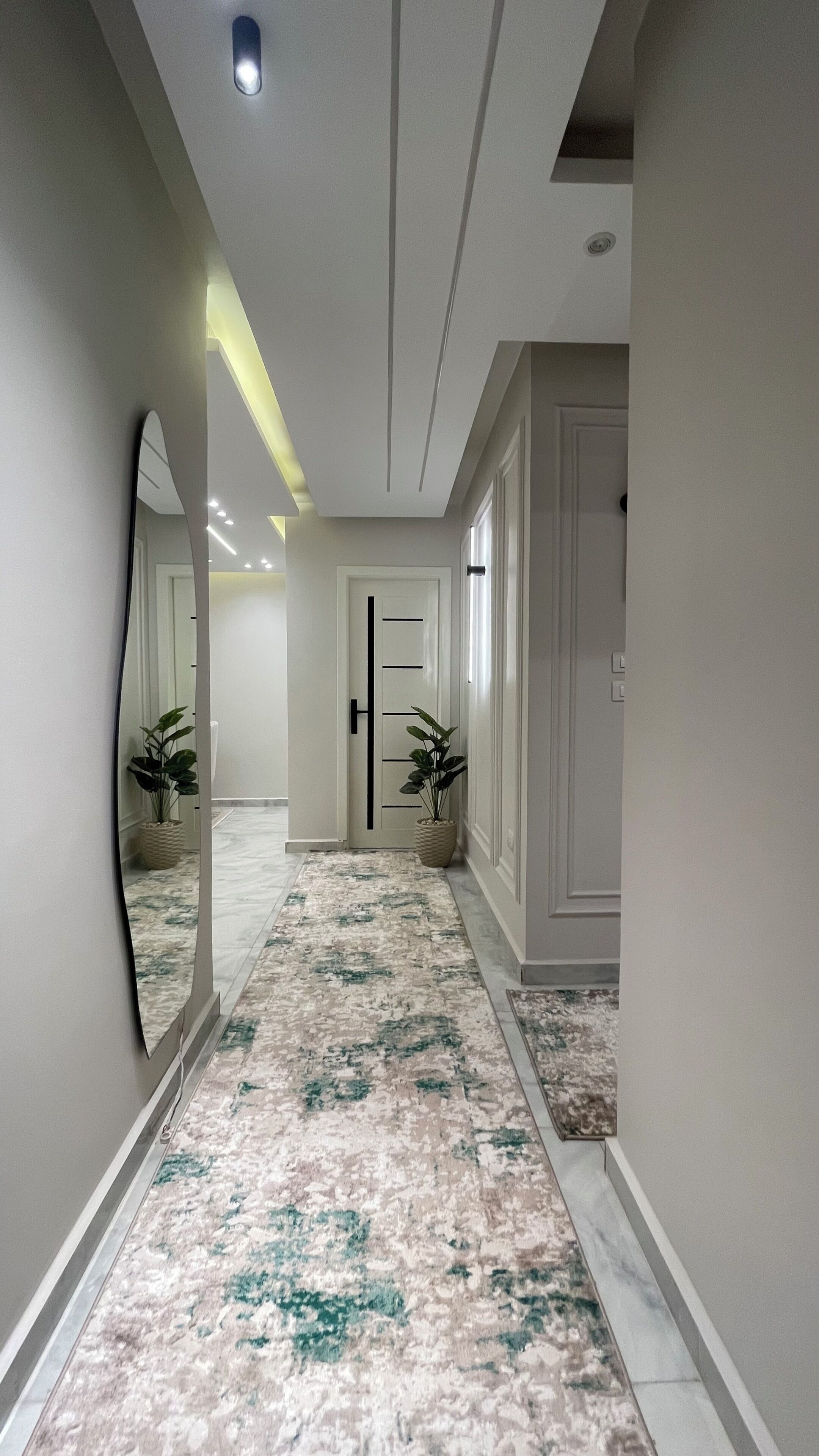 A hallway with a patterned carpet, a door with a black handle, and a potted plant on each side.