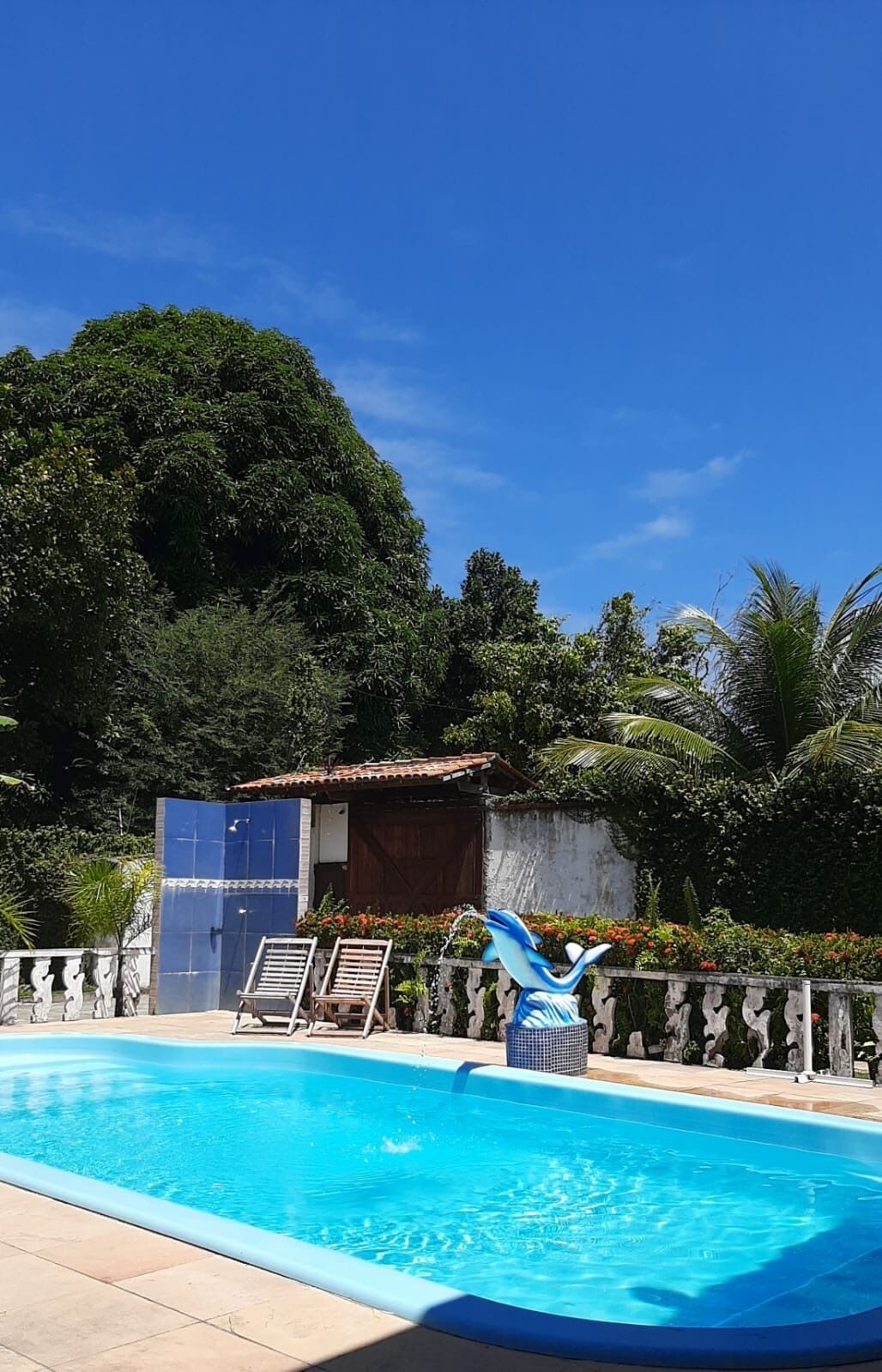 A swimming pool with clear blue water, surrounded by a wooden fence, and a blue dolphin statue.