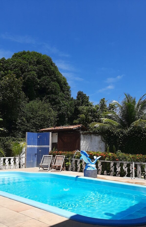 A swimming pool with clear blue water, surrounded by a wooden fence, and a blue dolphin statue.