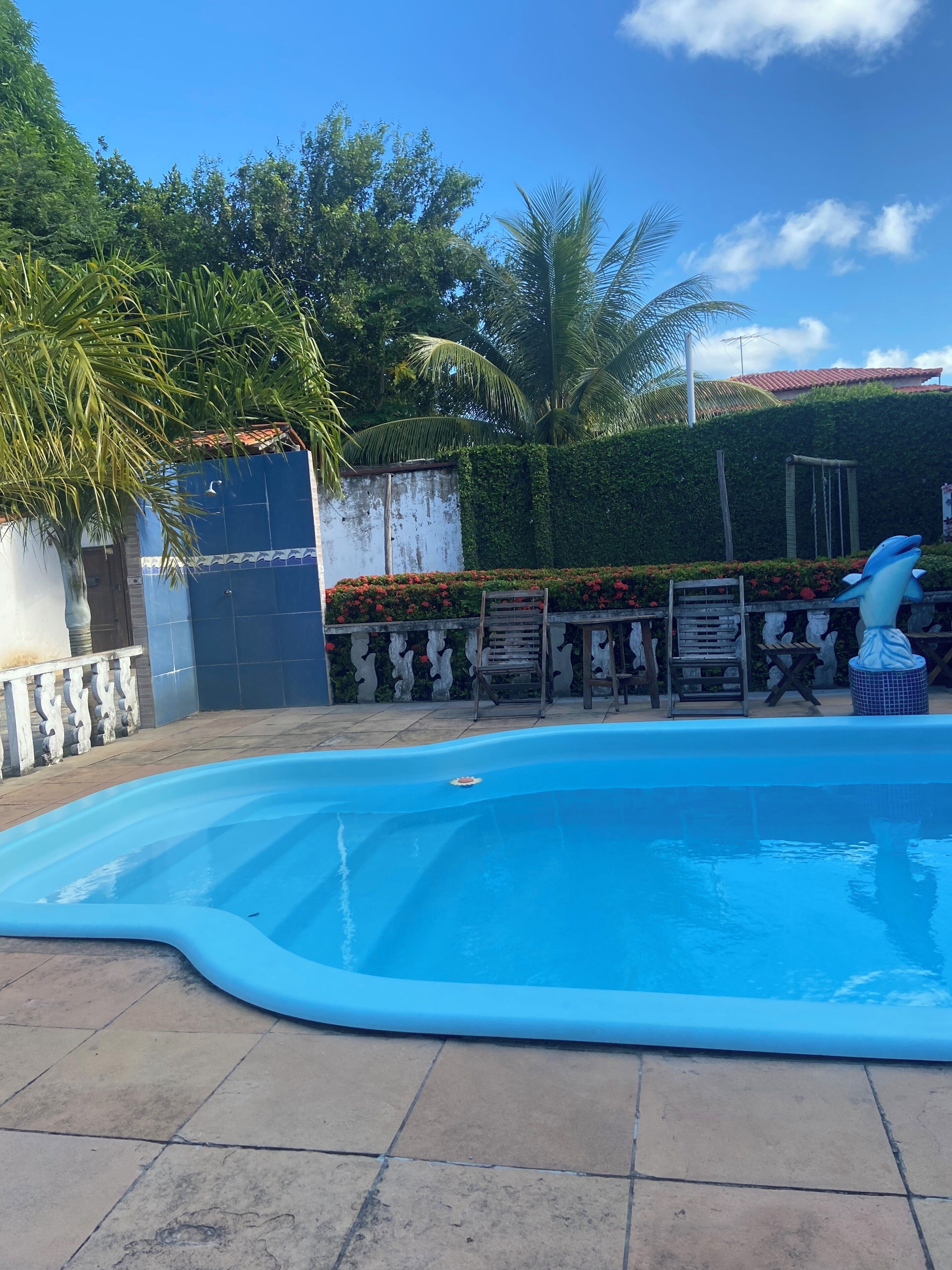 A swimming pool with a tiled deck, surrounded by a hedge and palm trees.