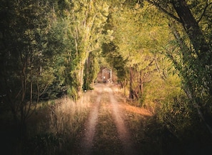 A dirt path leading to a small building surrounded by dense trees.