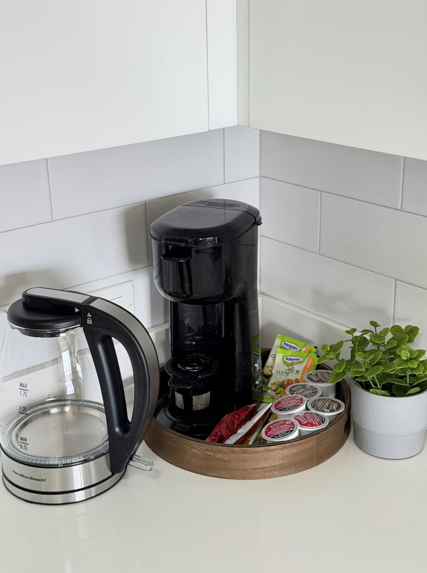 Uma cozinha com cafeteira, jarra de vidro e um vaso com planta.